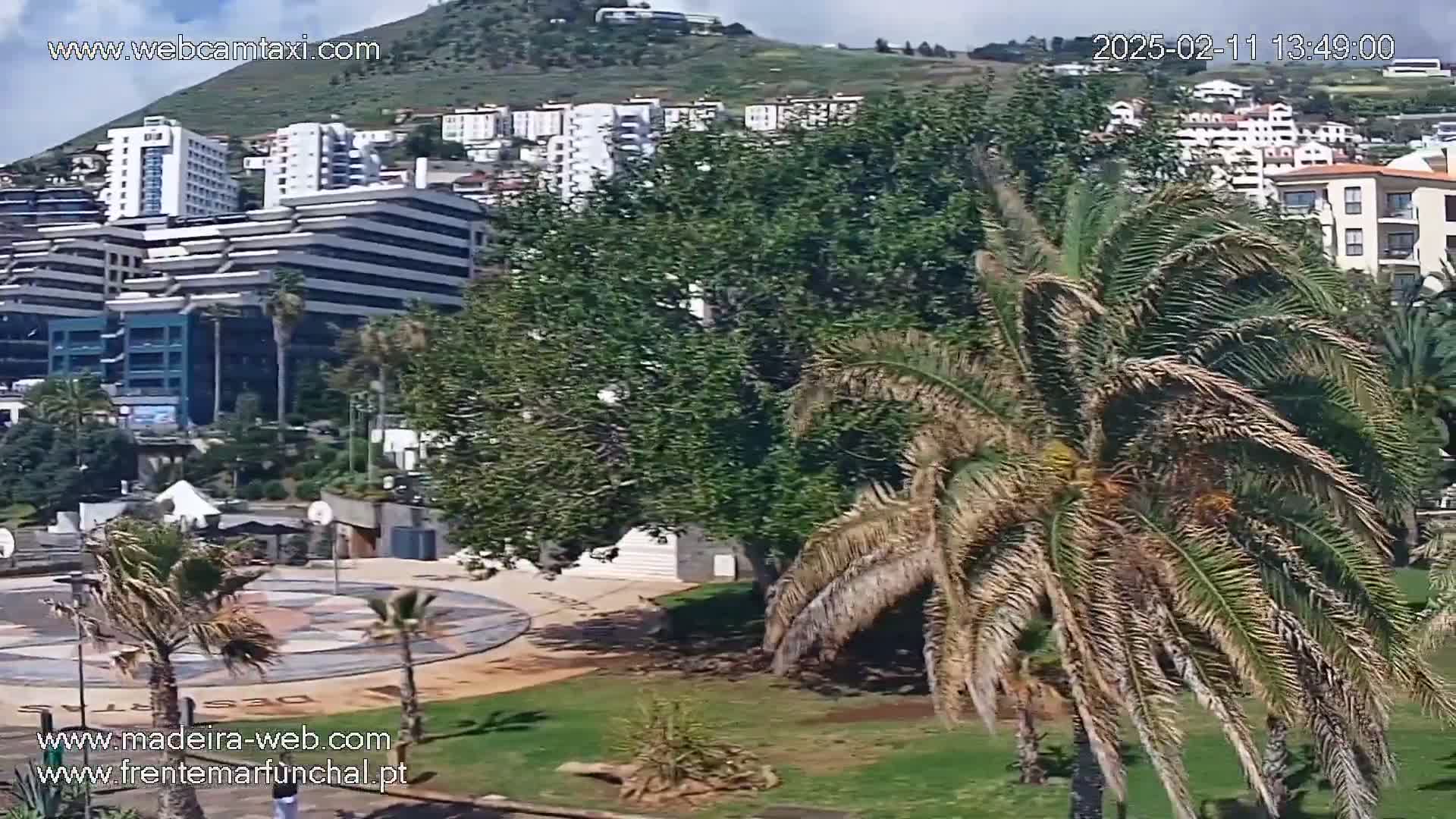 A mostly sunny view overlooking a city with buildings and palm trees in a park-like area.