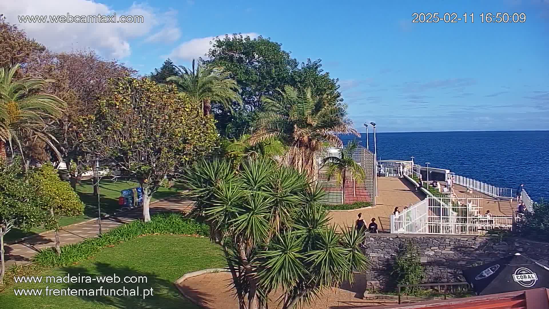 A park with palm trees and other lush greenery overlooks a calm ocean on a sunny day.