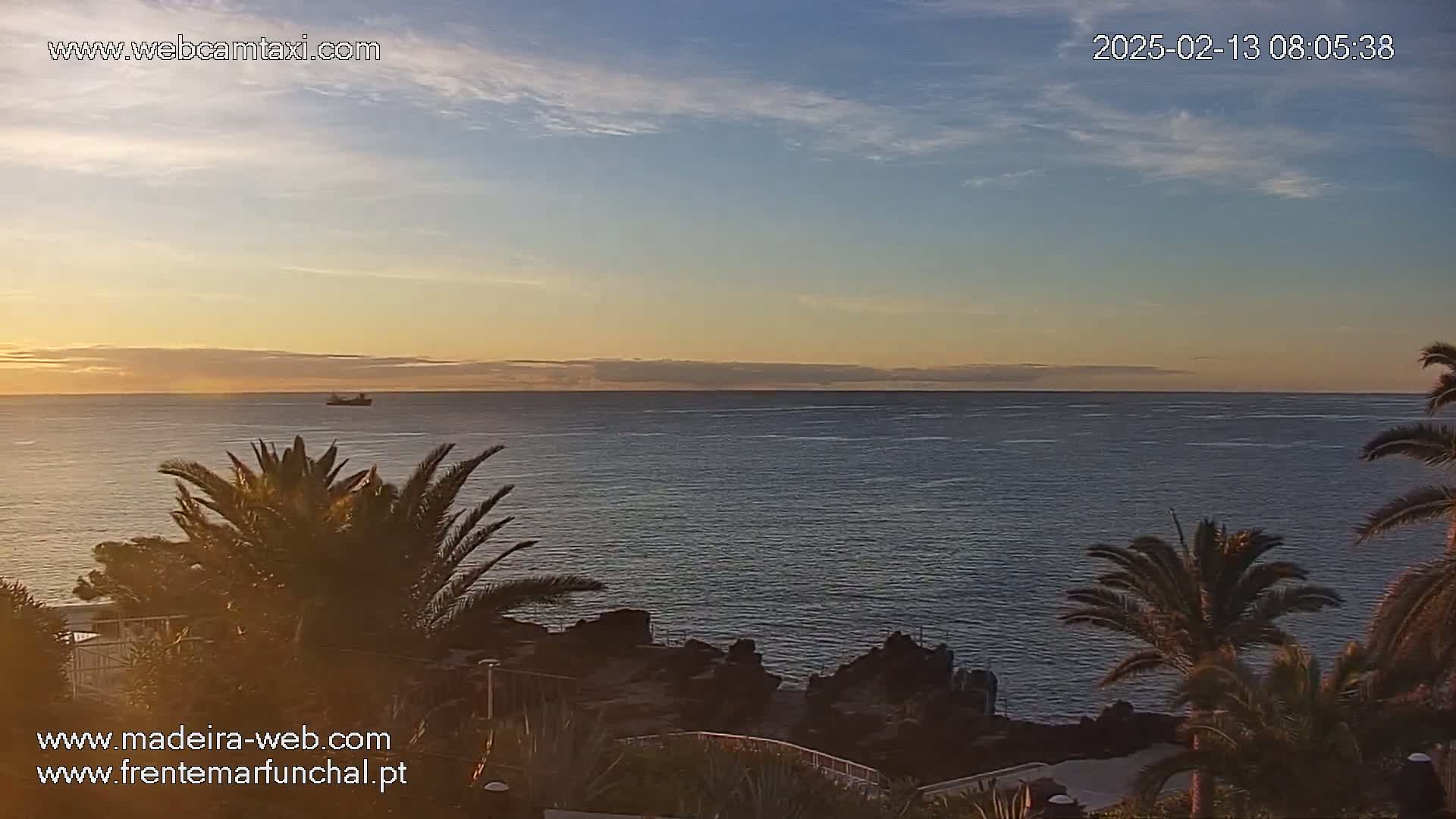 A calm ocean at sunrise is viewed from a vantage point amongst palm trees, with a distant ship visible on the horizon.