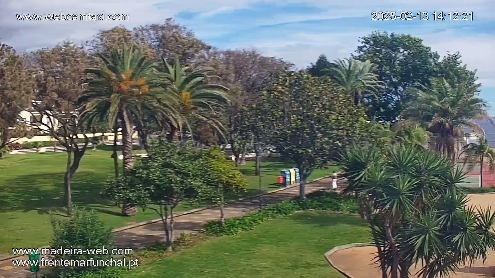 A paved pathway winds through a lush green park filled with palm trees and other tropical plants under a partly cloudy sky.