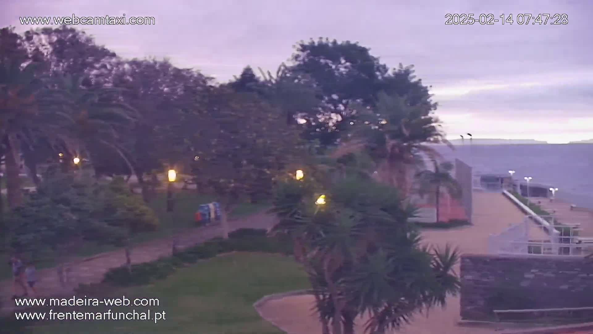 An overcast evening scene shows a park with palm trees and pathways near a body of water, with a stone wall and buildings visible in the distance.