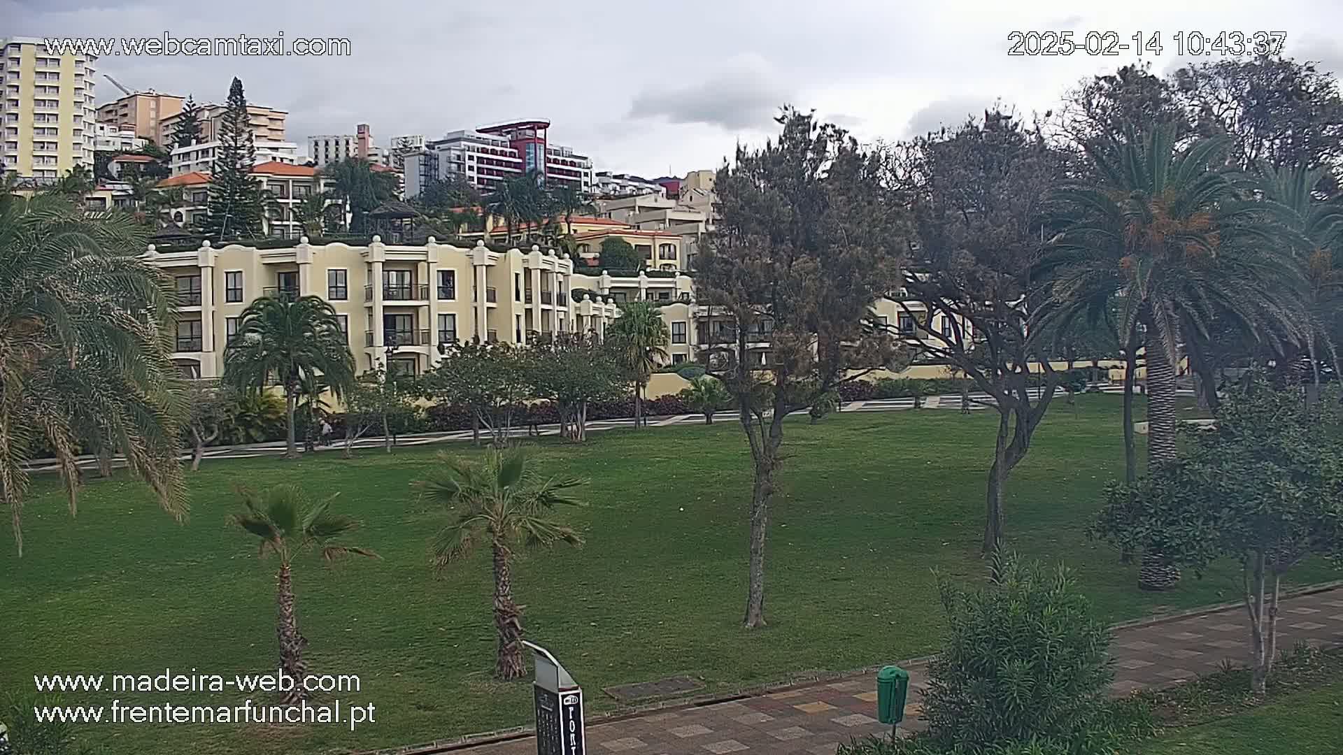 A large, grassy park with palm trees and a multi-story building in the background under an overcast sky.