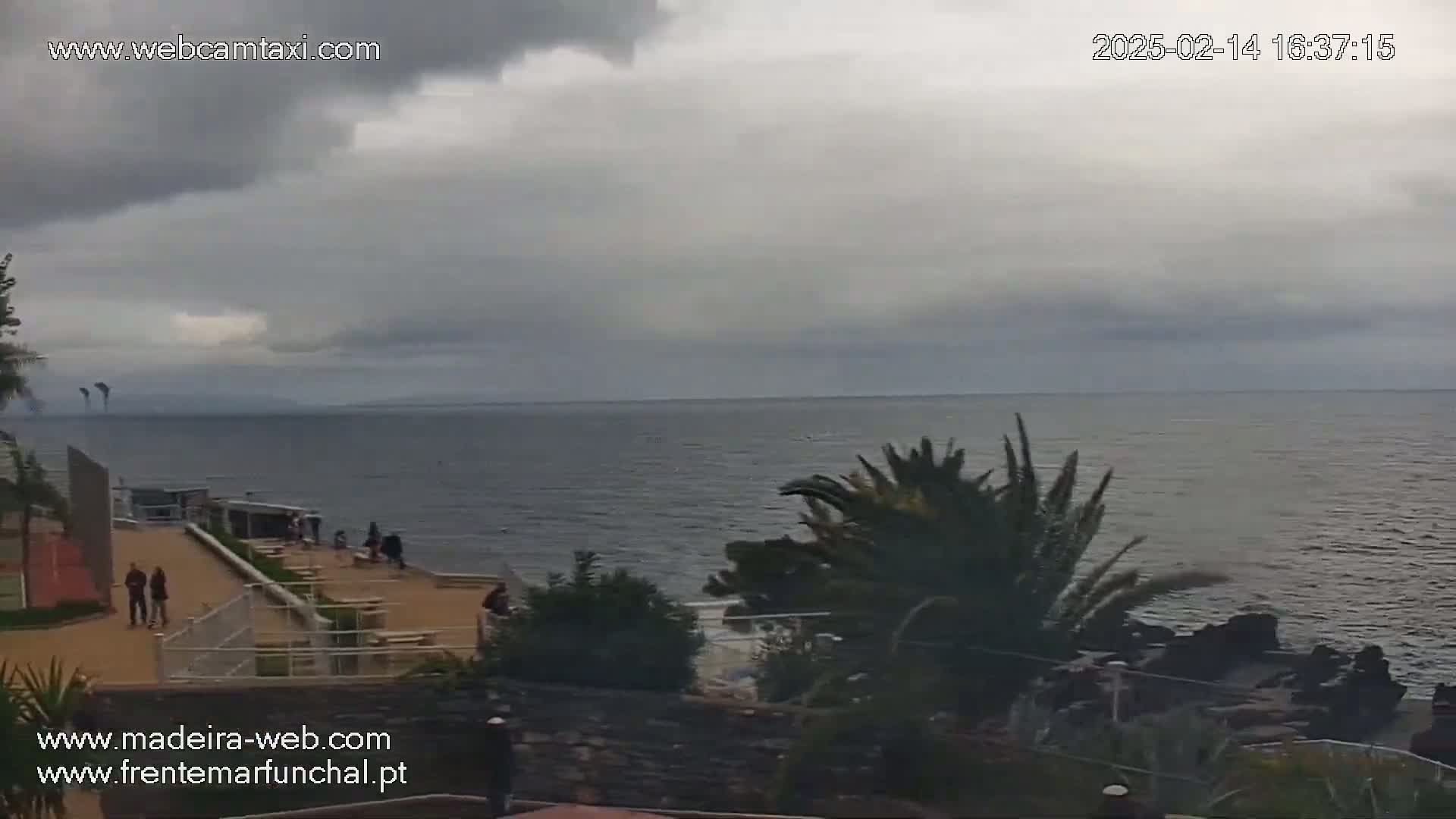 A mostly cloudy day shows a calm ocean, a rocky shoreline with palm trees, and a paved walkway with a few people.