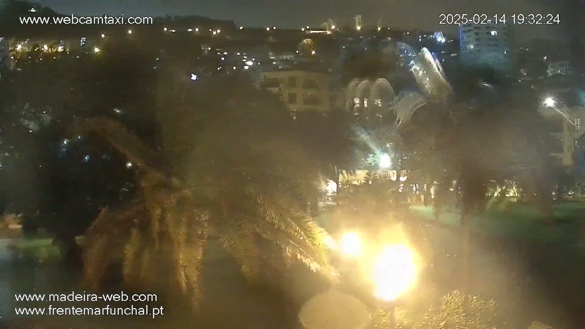 A nighttime, blurry view shows fireworks over a city, partially obscured by palm trees in the foreground.