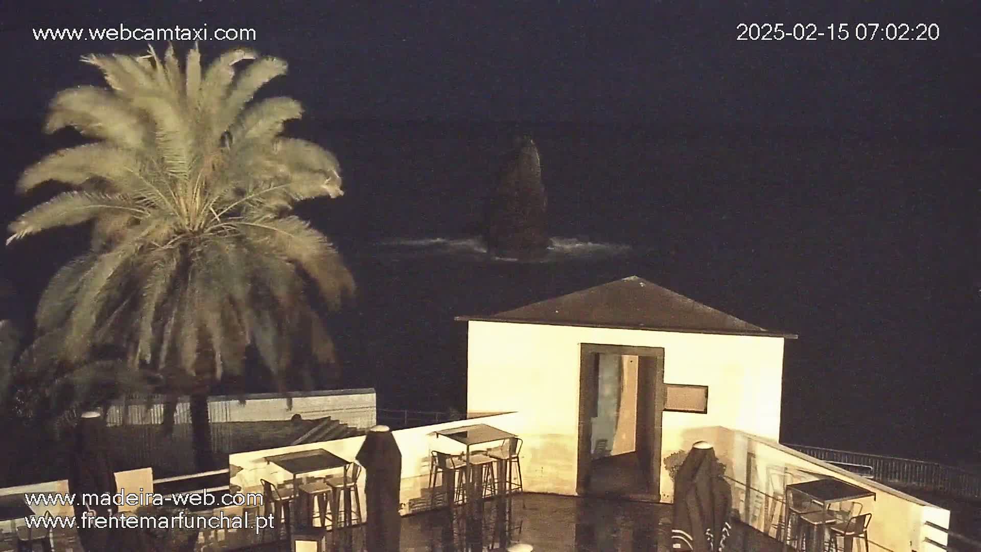 A palm tree stands beside a small, dark building with outdoor seating overlooking a dark ocean under a nighttime sky.