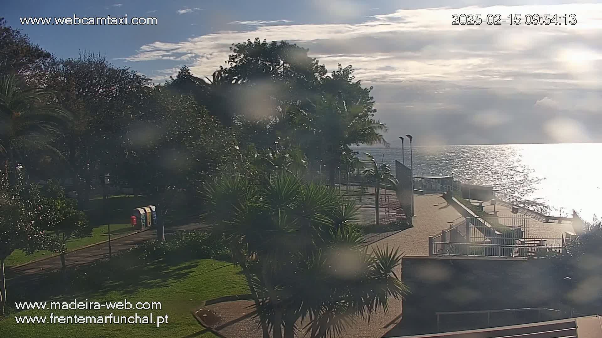 A partly cloudy day shows a seaside park with lush greenery, including palm trees, and a paved area with benches near a calm ocean.