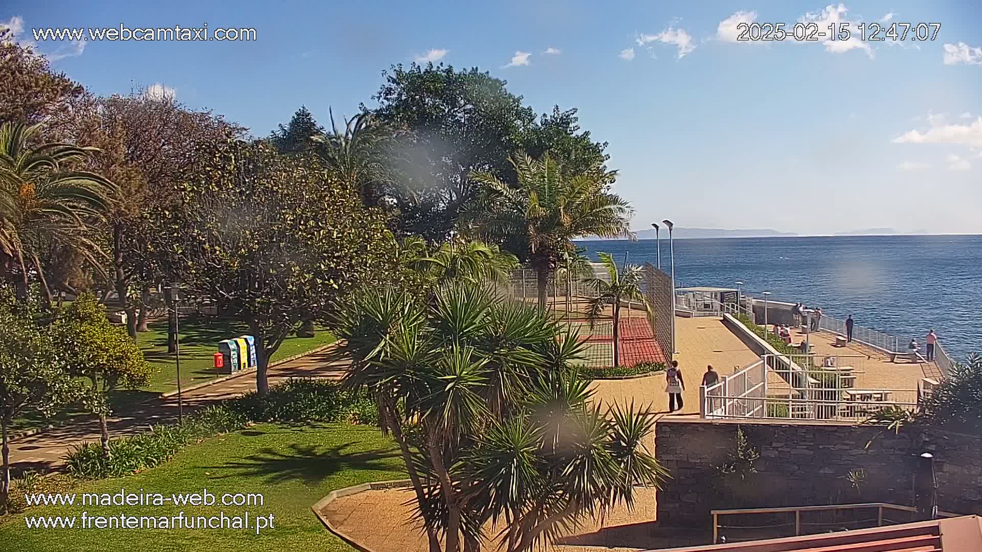 A sunny day overlooks a park with palm trees, a tennis court, and a paved walkway leading to a coastal overlook with a calm ocean view.