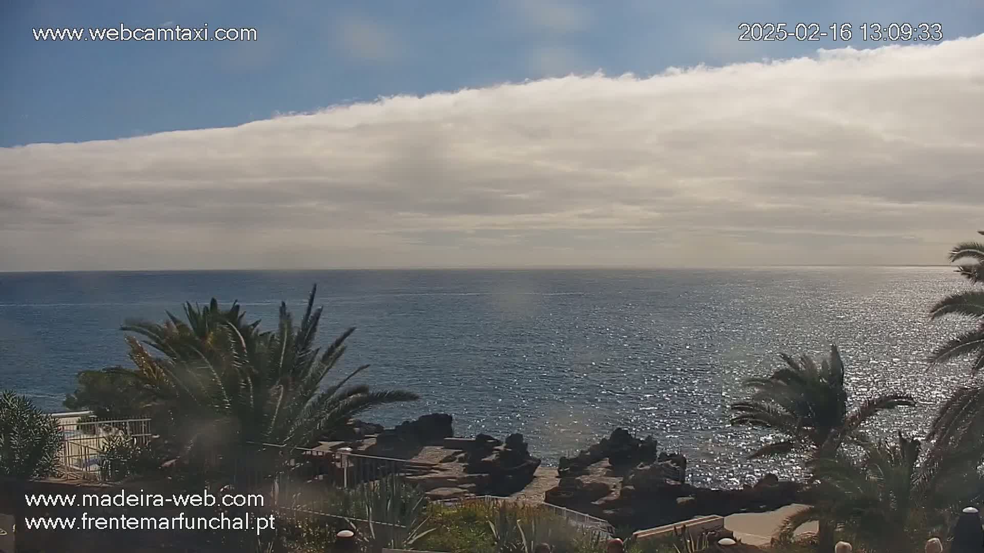 A partly cloudy sky overlooks a calm ocean, with palm trees and rocky terrain in the foreground.