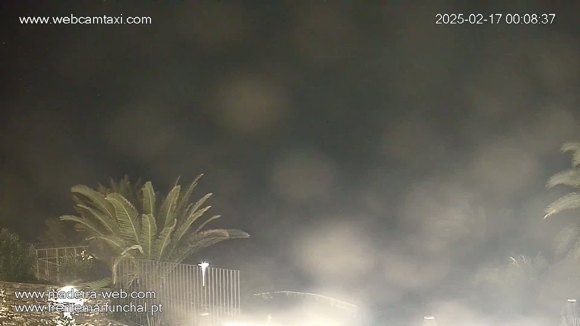 A nighttime, hazy scene shows palm trees behind a fence.