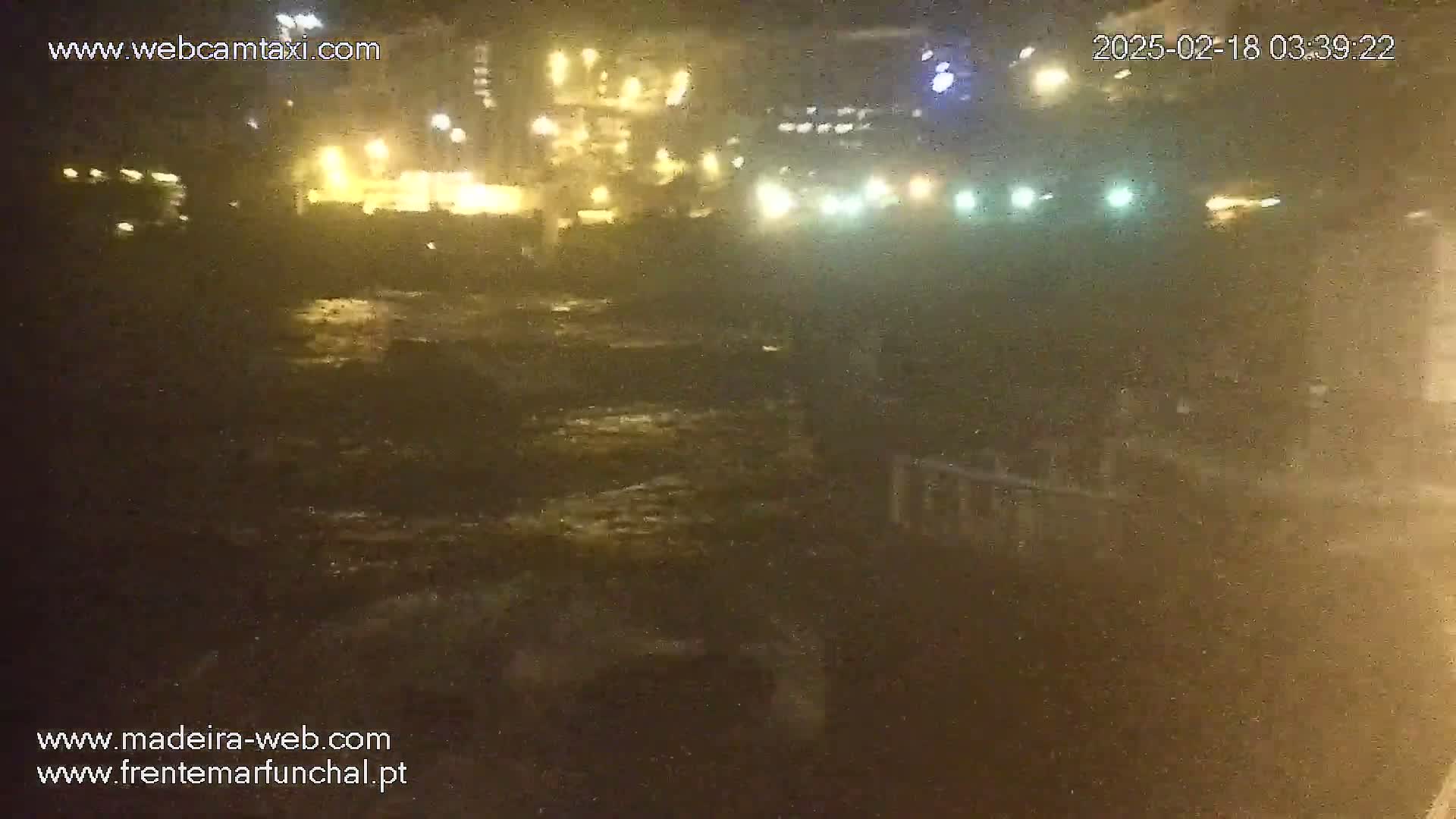 A nighttime, blurry view of a waterfront area with lights from buildings and vehicles, and dark, possibly wet ground in the foreground.