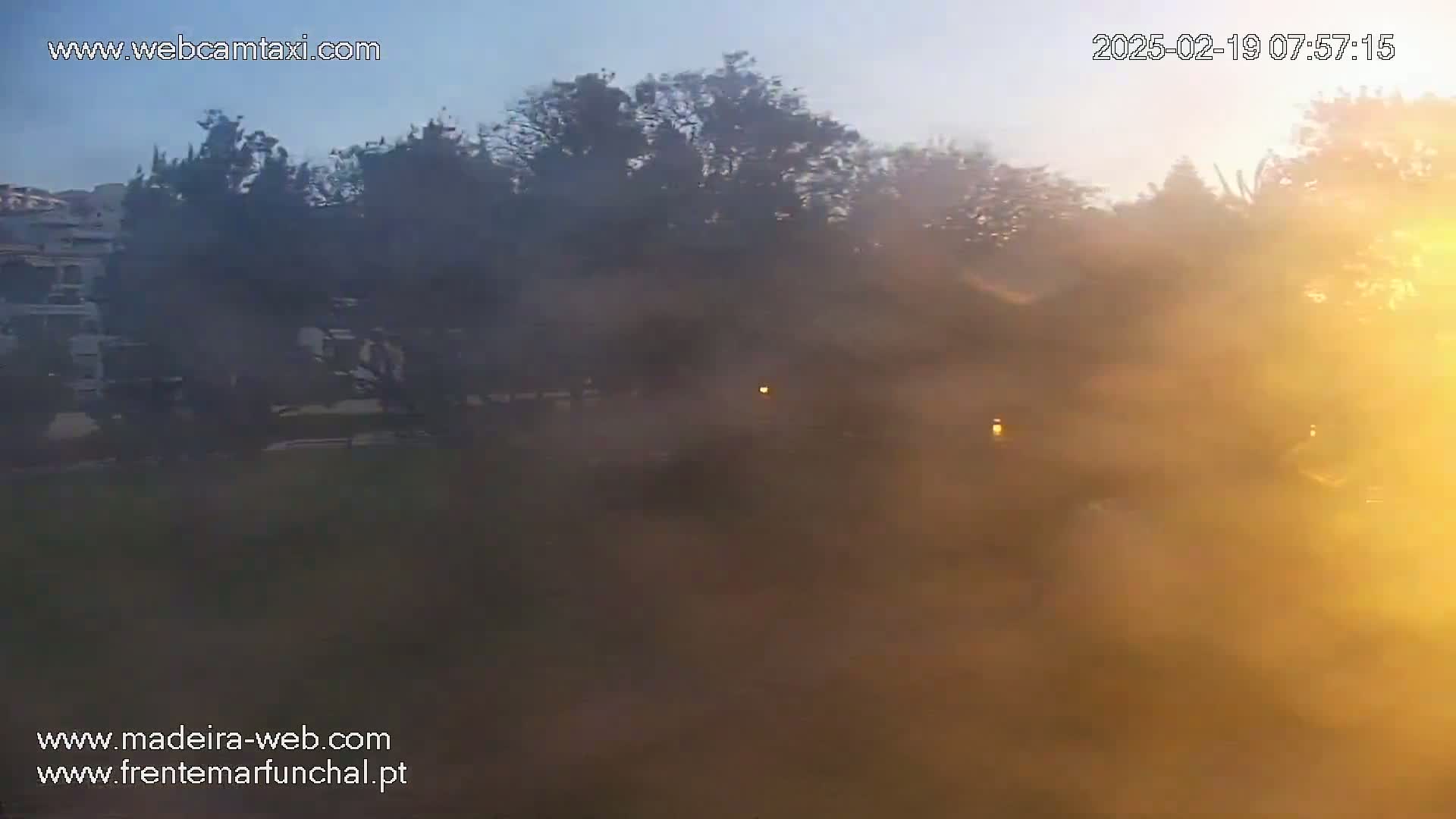 A hazy, sunrise scene shows a park-like area with trees and buildings in the distance, under a mostly clear sky.