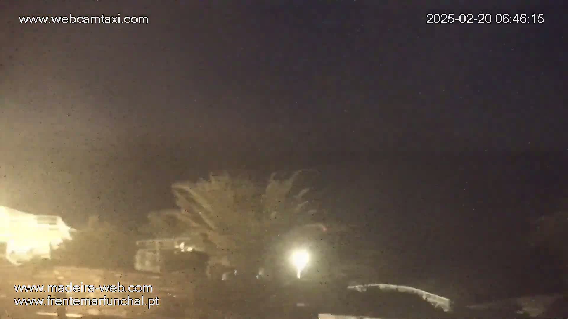 A nighttime, dimly lit outdoor scene shows palm trees and buildings under a dark sky.