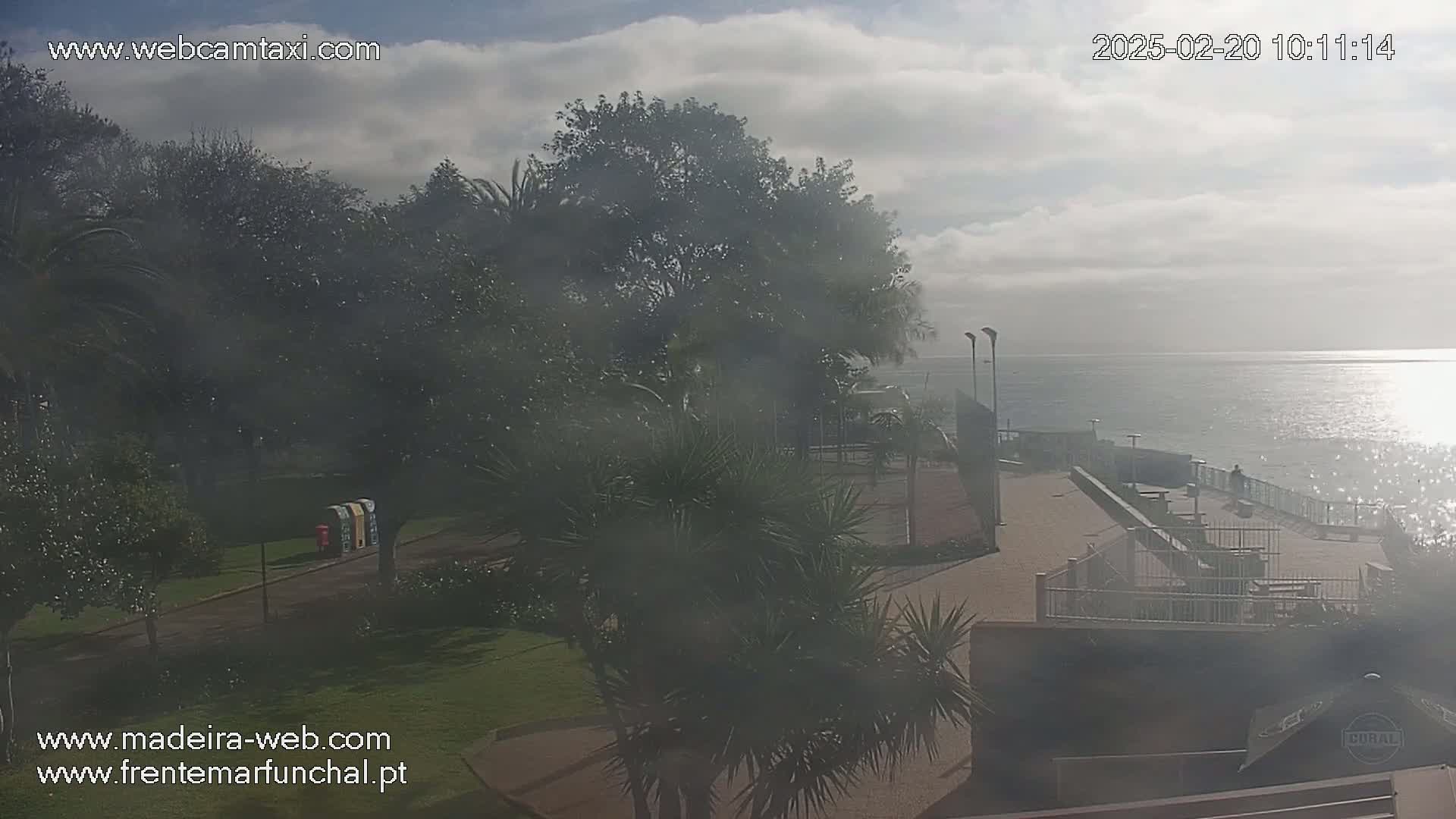 A hazy, partly sunny day overlooks a park and paved oceanfront area with palm trees, some seating areas, and a calm ocean.