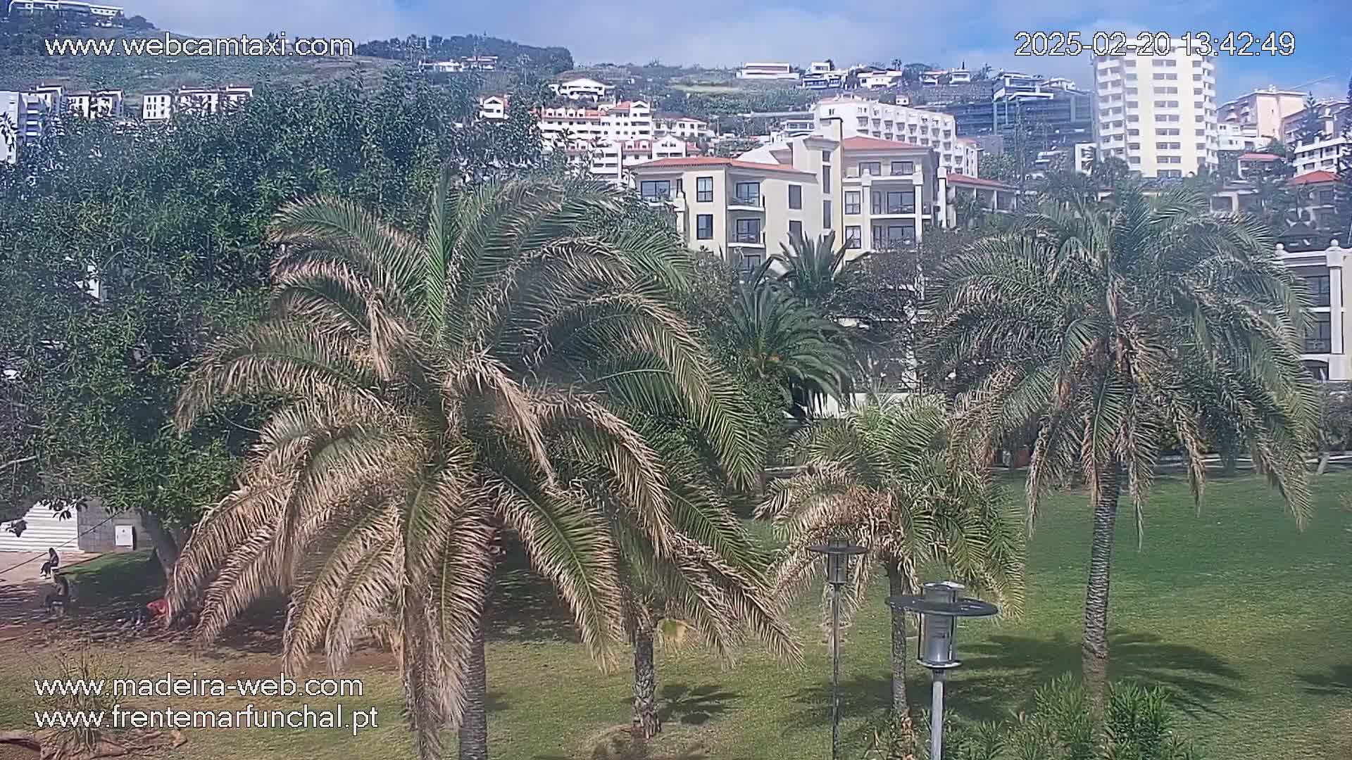 Palm trees and grassy areas in front of several multi-story buildings on a partly sunny day.