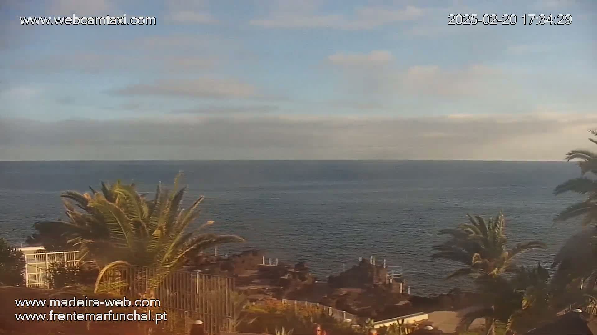 A calm ocean is visible from a coastal viewpoint, partially obscured by palm trees under a partly cloudy sky.