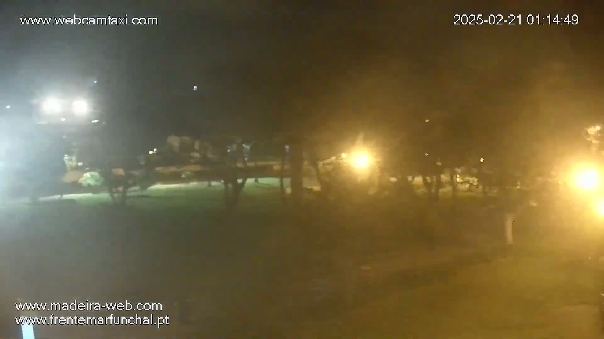 A hazy night scene shows a dimly lit grassy area with trees and streetlights, possibly in a park.