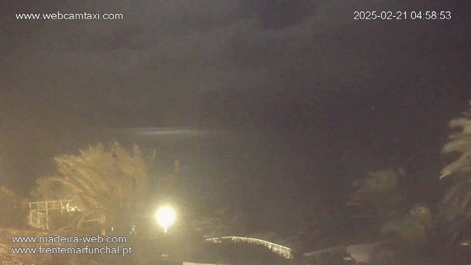 A nighttime, overcast scene shows vegetation, a light post, and a glimpse of a structure in the distance.