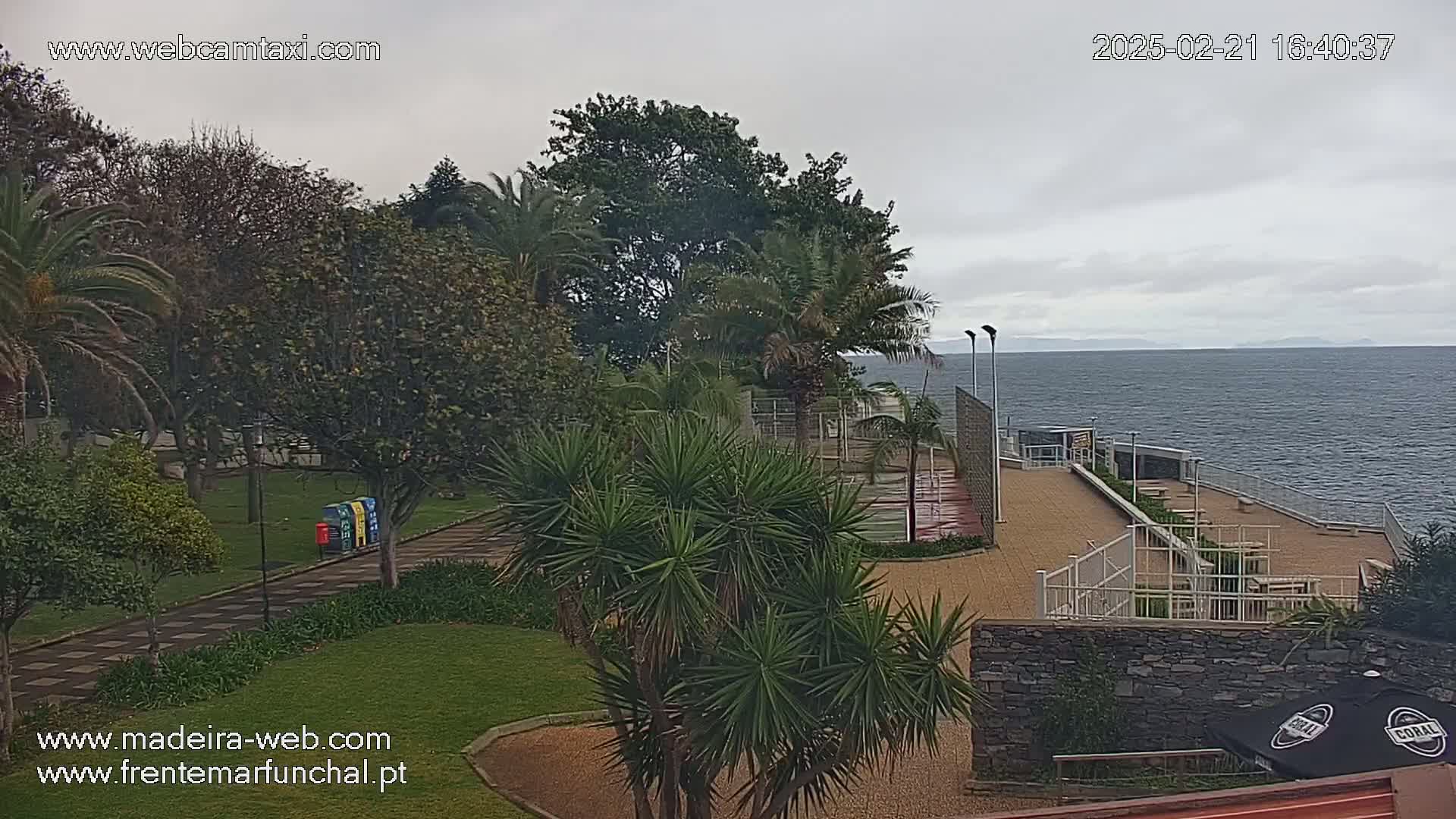 A seaside park with palm trees and a paved area next to a calm ocean under an overcast sky.