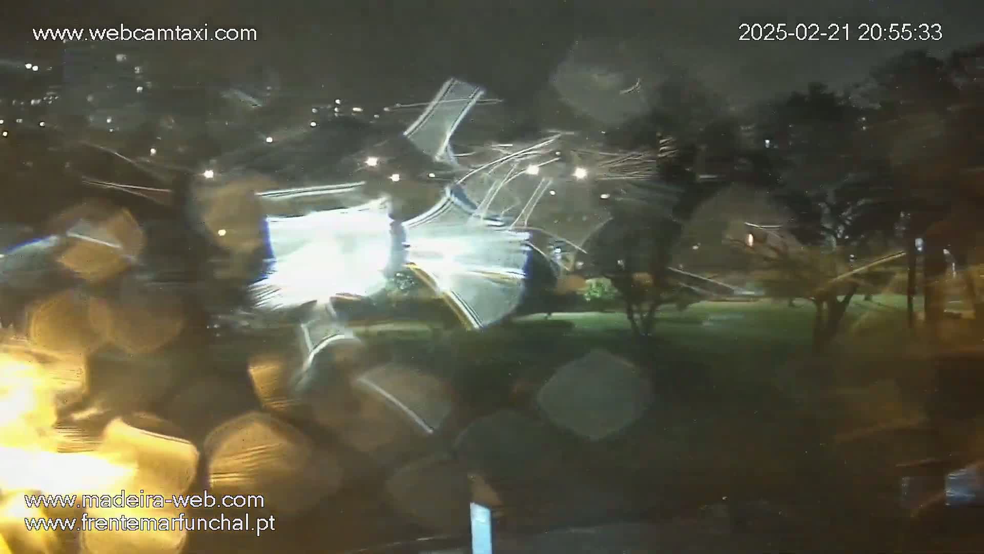 A nighttime view of a rain-soaked scene, showing blurry lights and trees through a rain-covered window.