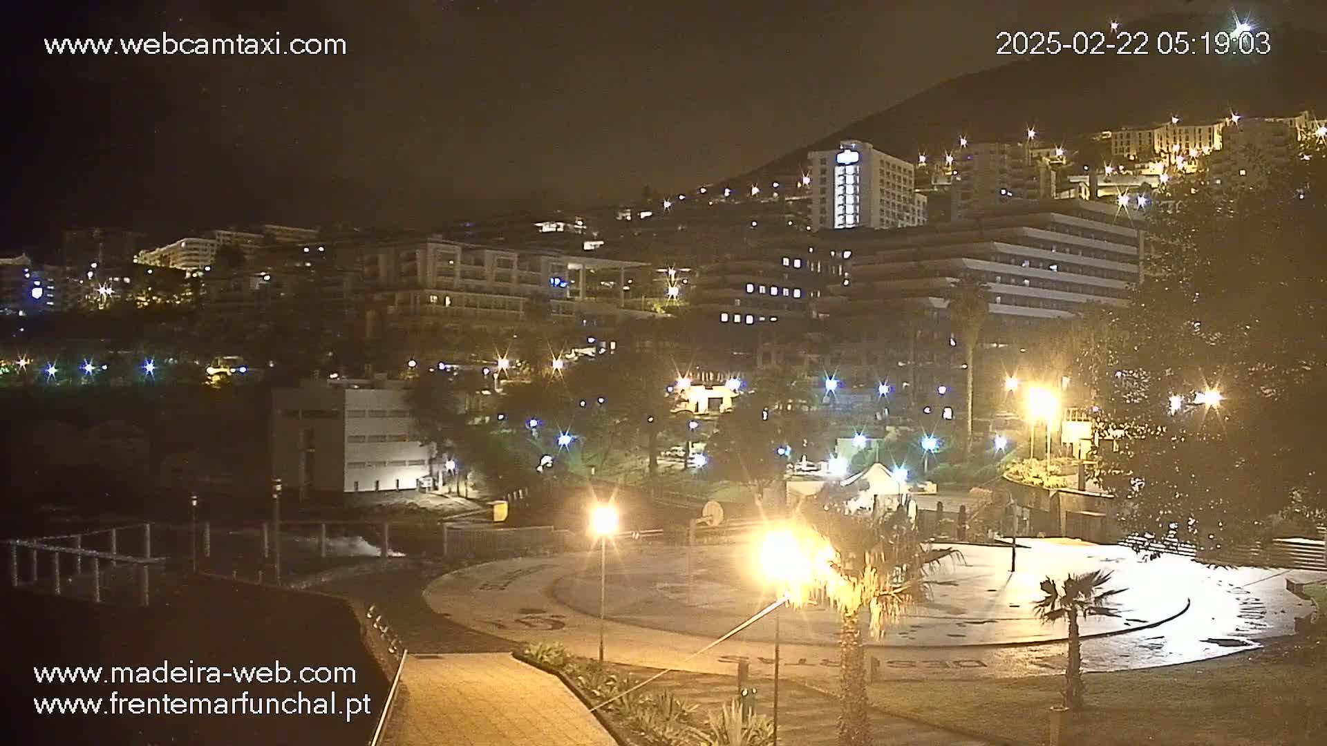 A nighttime view of a city with numerous buildings illuminated by streetlights, overlooking a paved plaza with palm trees.