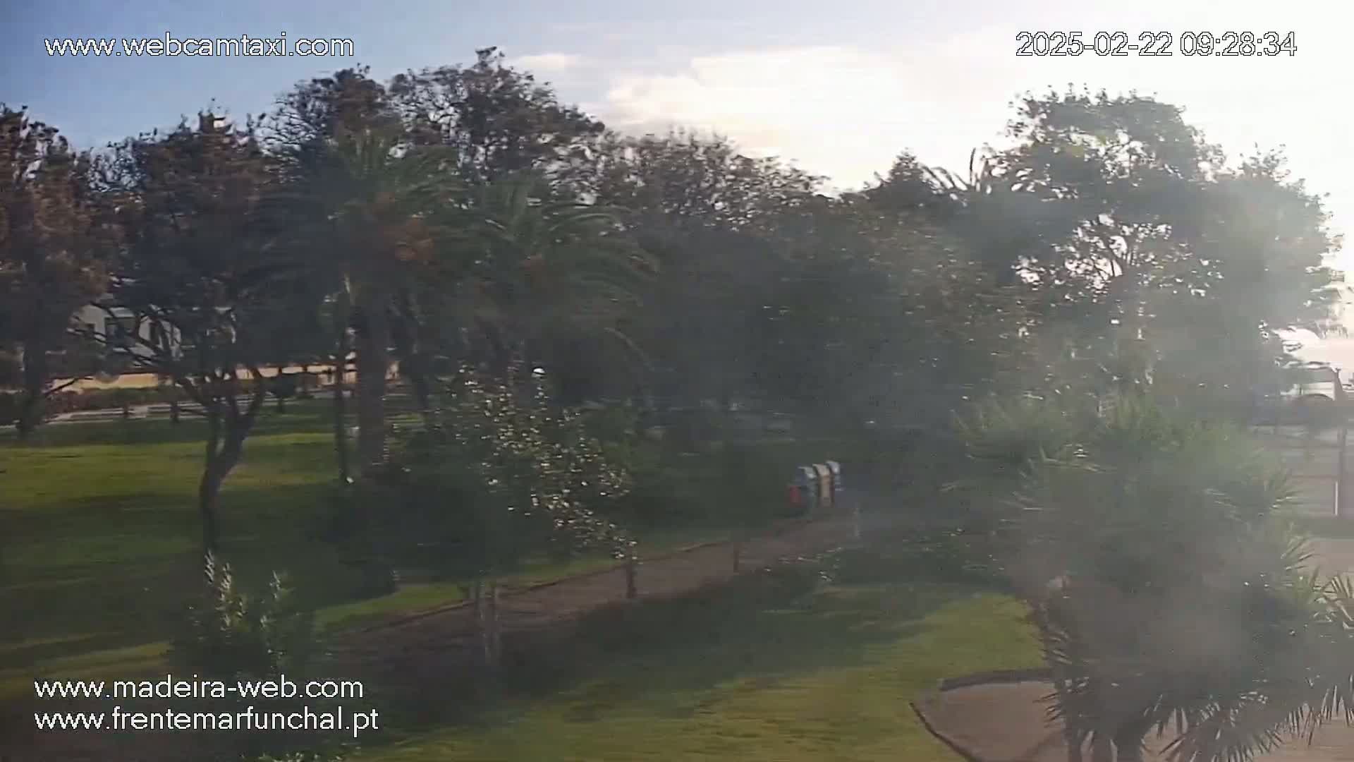A hazy, sunny day reveals a park-like area with palm trees, other greenery, and a pathway, all seen from a slightly elevated vantage point.