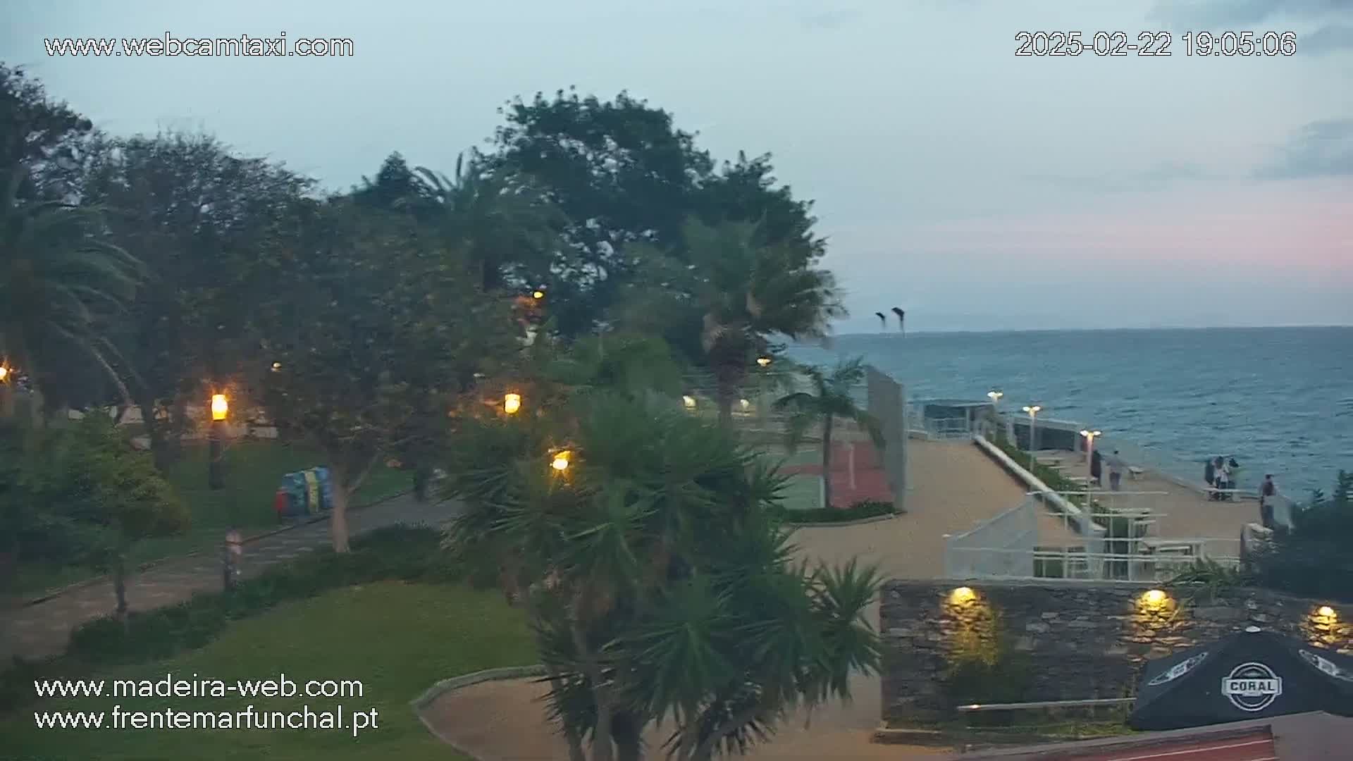 An outdoor scene at twilight shows a paved walkway along the ocean, with palm trees and other vegetation, and some people near the water.