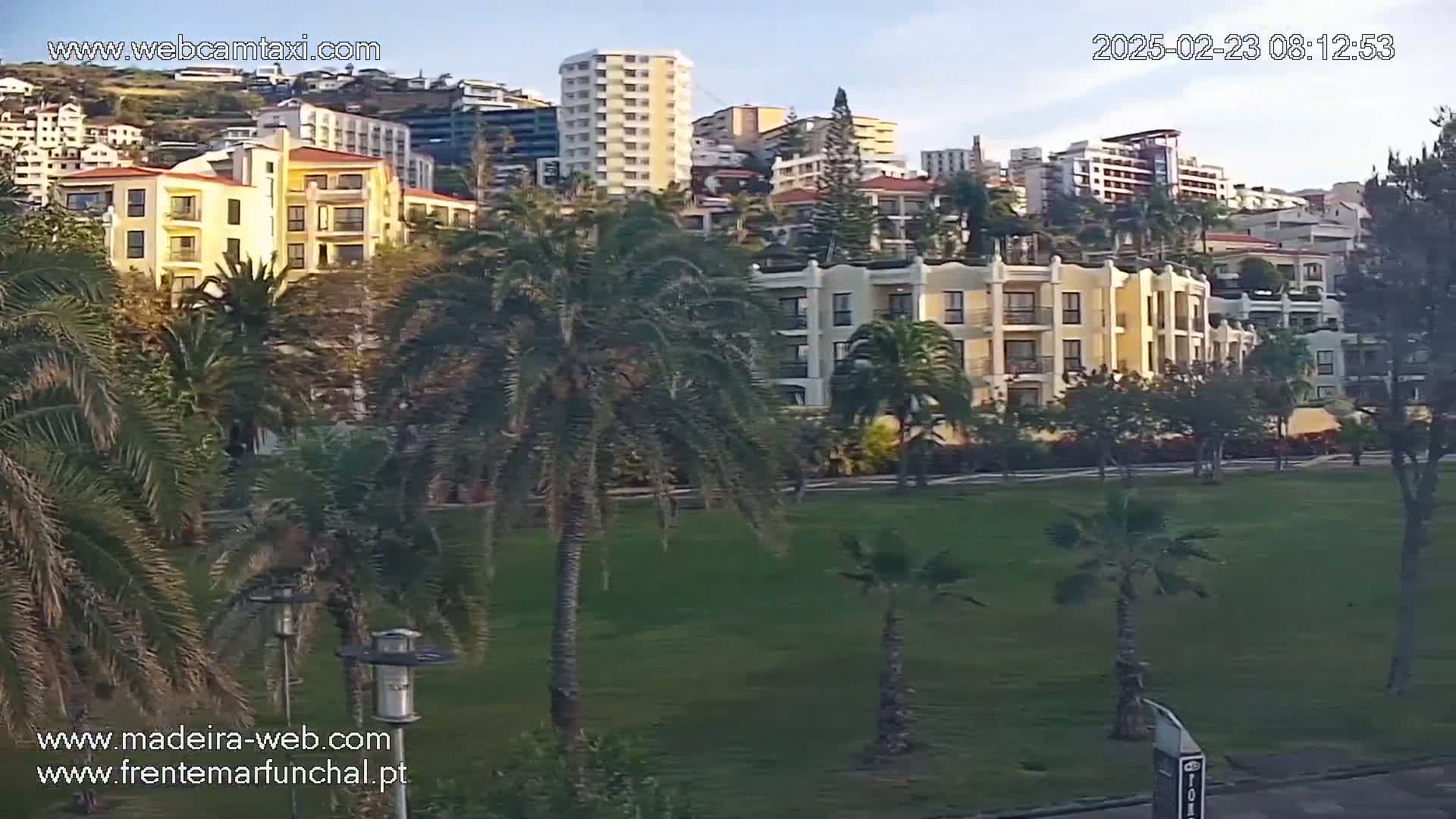 A grassy area with palm trees in the foreground overlooks a hillside of multi-story buildings under a clear, twilight sky.