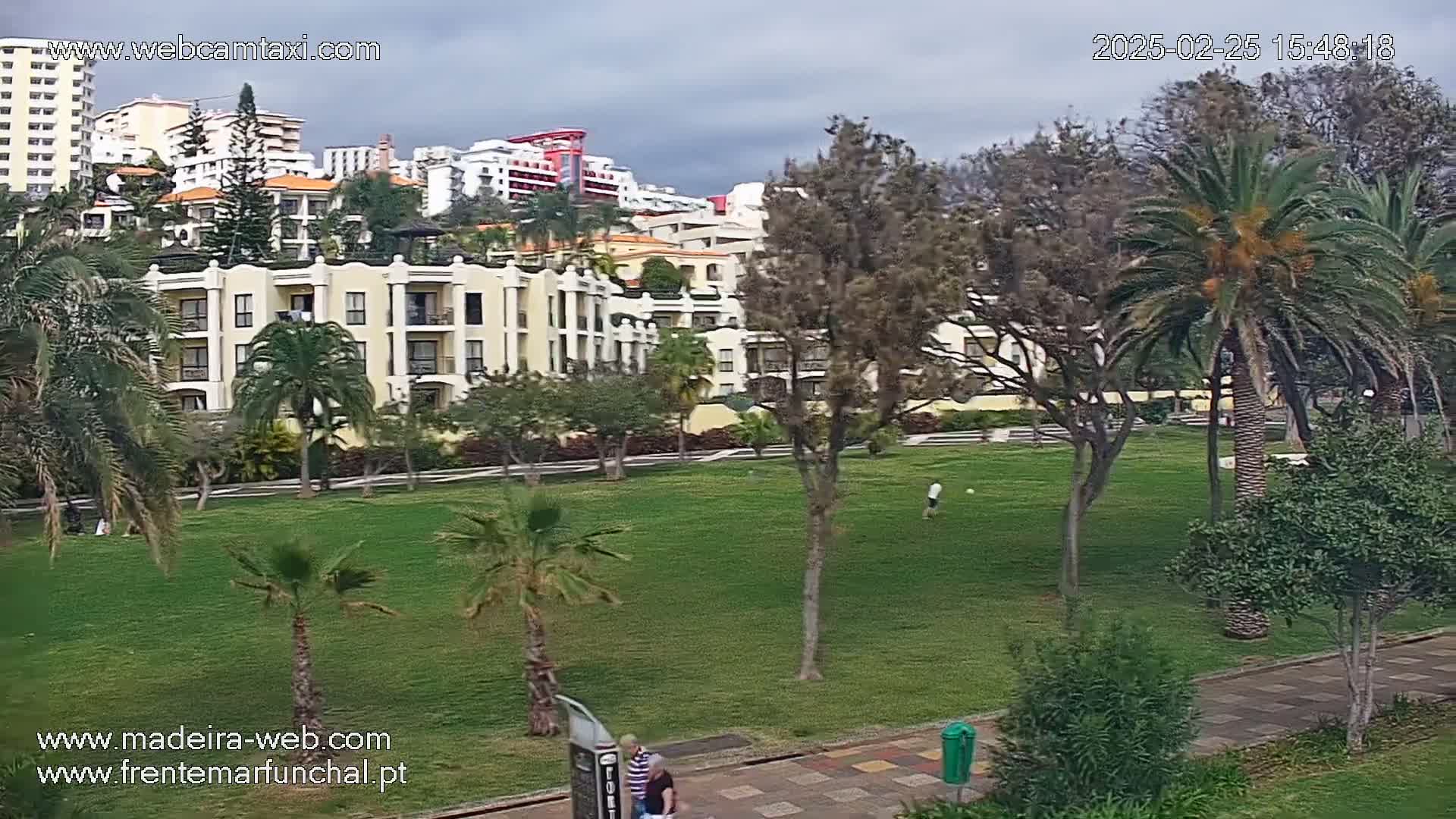 A grassy park with palm trees and apartment buildings in the background under an overcast sky.