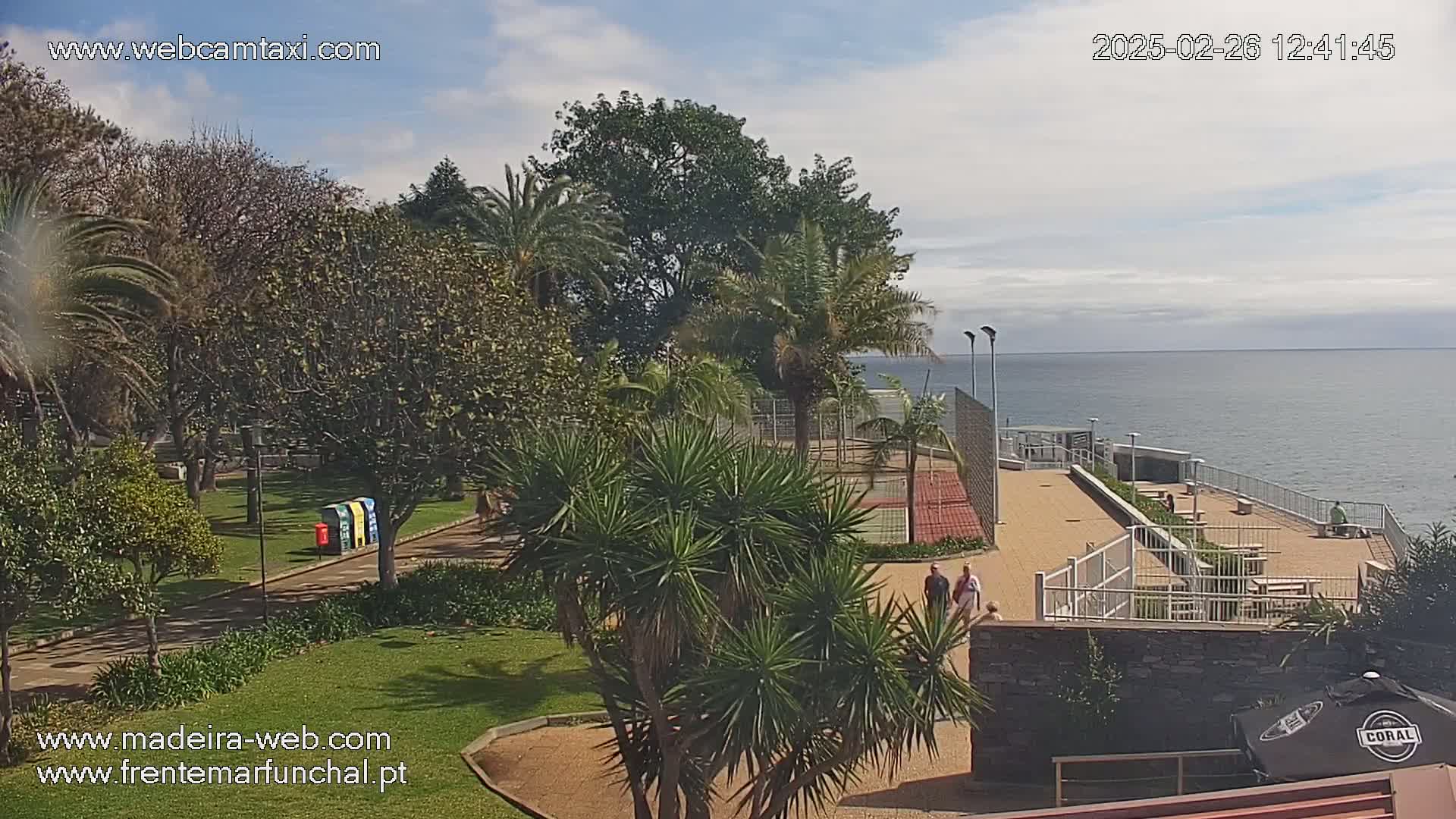 A park with palm trees and a paved area overlooking a calm ocean under a partly cloudy sky.