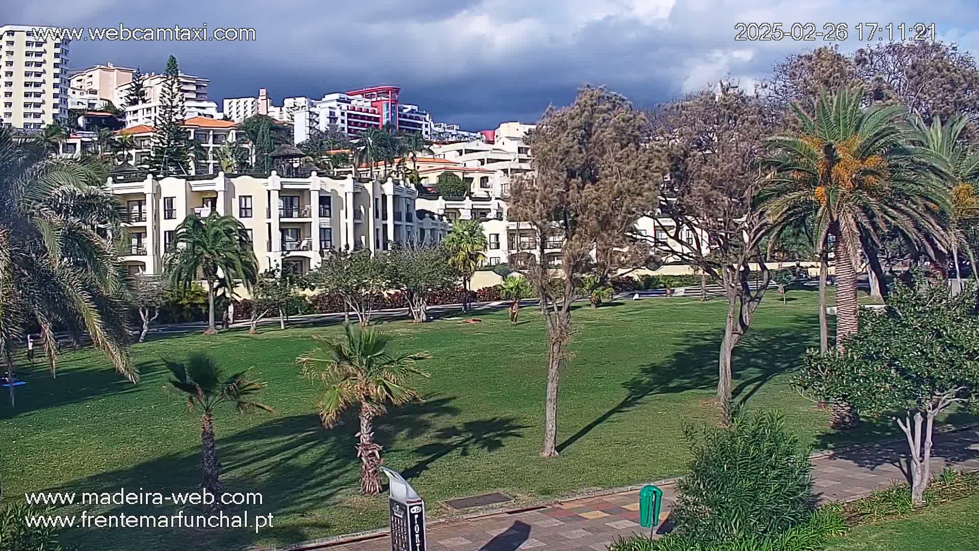 A grassy park with palm trees and other vegetation sits in front of a row of multi-story buildings under a partly cloudy sky.