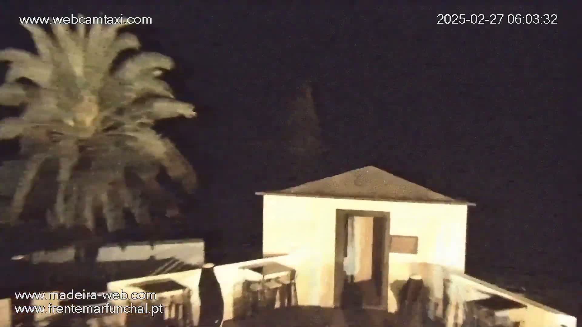 A small, light-colored building with a patio is situated at night next to a palm tree under a dark sky.