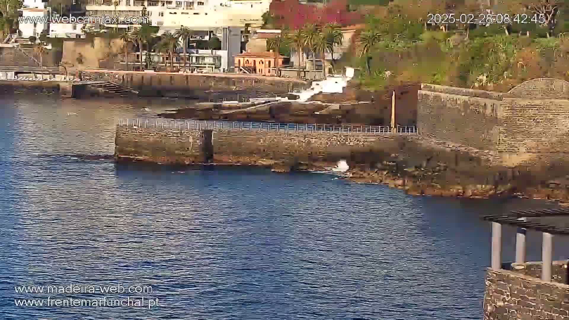 A calm body of water laps against a stone seawall next to a waterfront town, featuring buildings and palm trees under a sunny sky.
