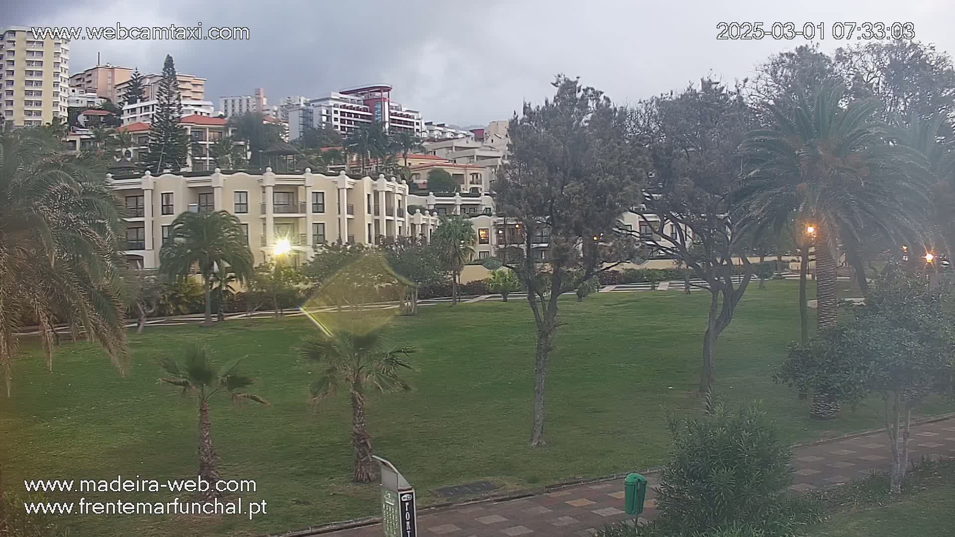 A grassy park with palm trees and buildings in the background under an overcast sky.