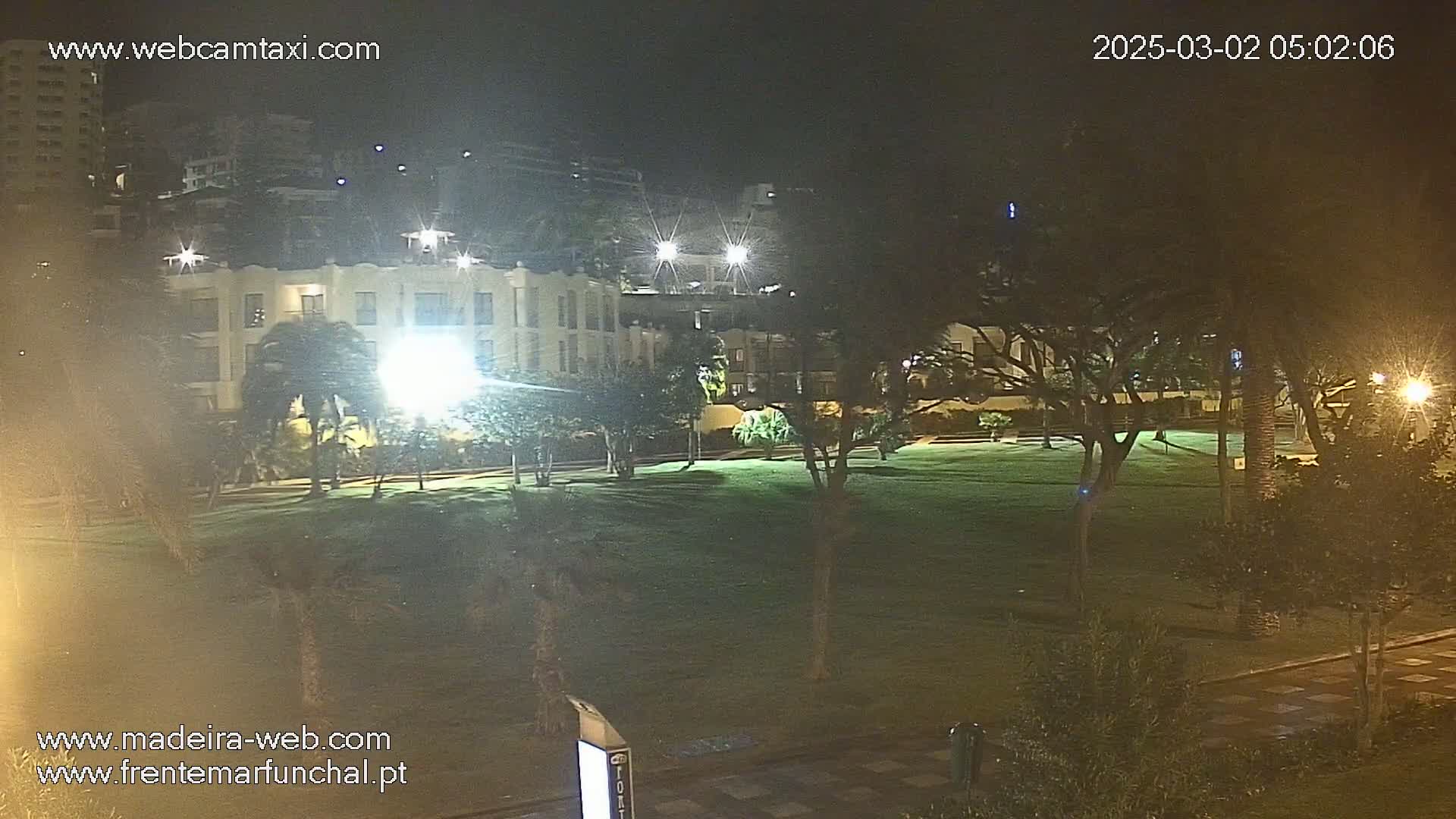 A nighttime view of a grassy park illuminated by streetlights, with a building and palm trees visible in the background.