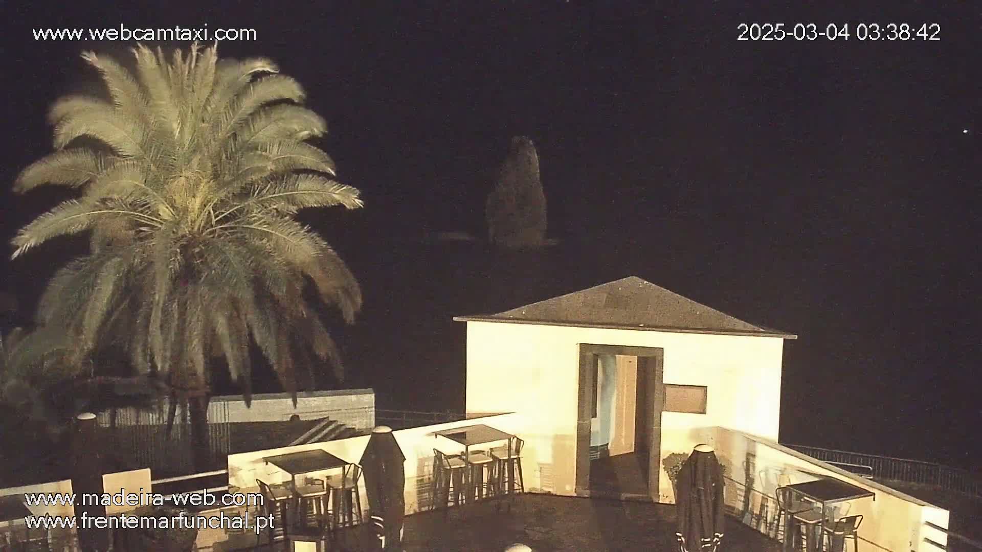 A nighttime view of a palm tree next to an outdoor patio area with tables and chairs, adjacent to a small, light-colored building under a dark sky.