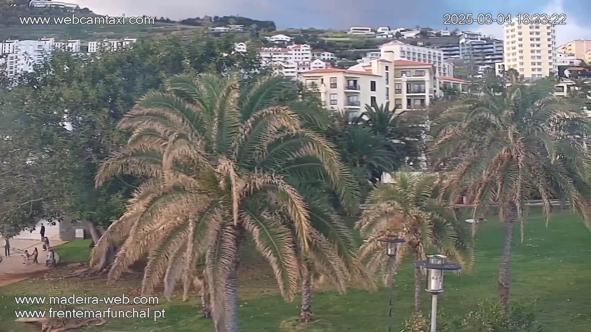 A grassy area with palm trees in the foreground, overlooking a hillside of buildings under a partly cloudy sky.