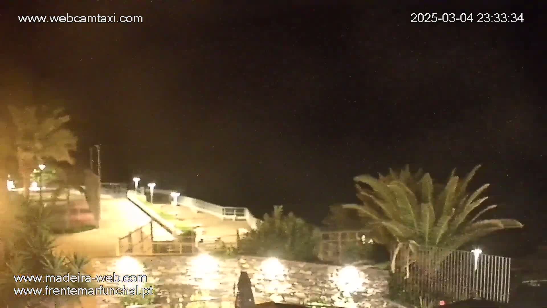 A nighttime view of a paved walkway and stone wall illuminated by lights, surrounded by palm trees under a dark, possibly slightly dusty sky.