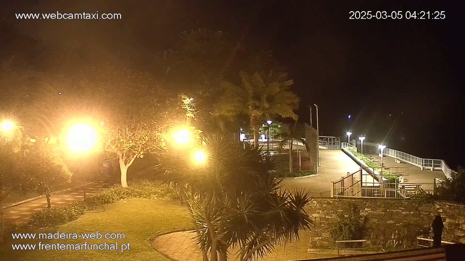 A nighttime view of a park-like area with palm trees and lights, adjacent to a paved waterfront walkway with a low stone wall under a hazy sky.