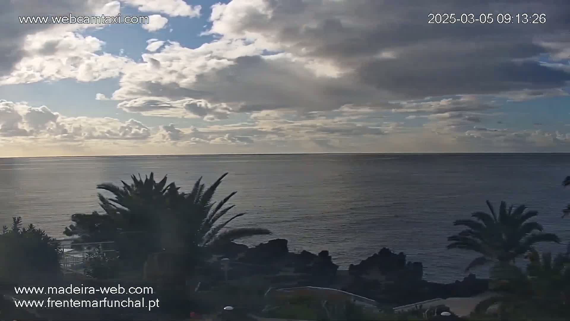 A partly cloudy sky overlooks a calm ocean, with palm trees in the foreground.