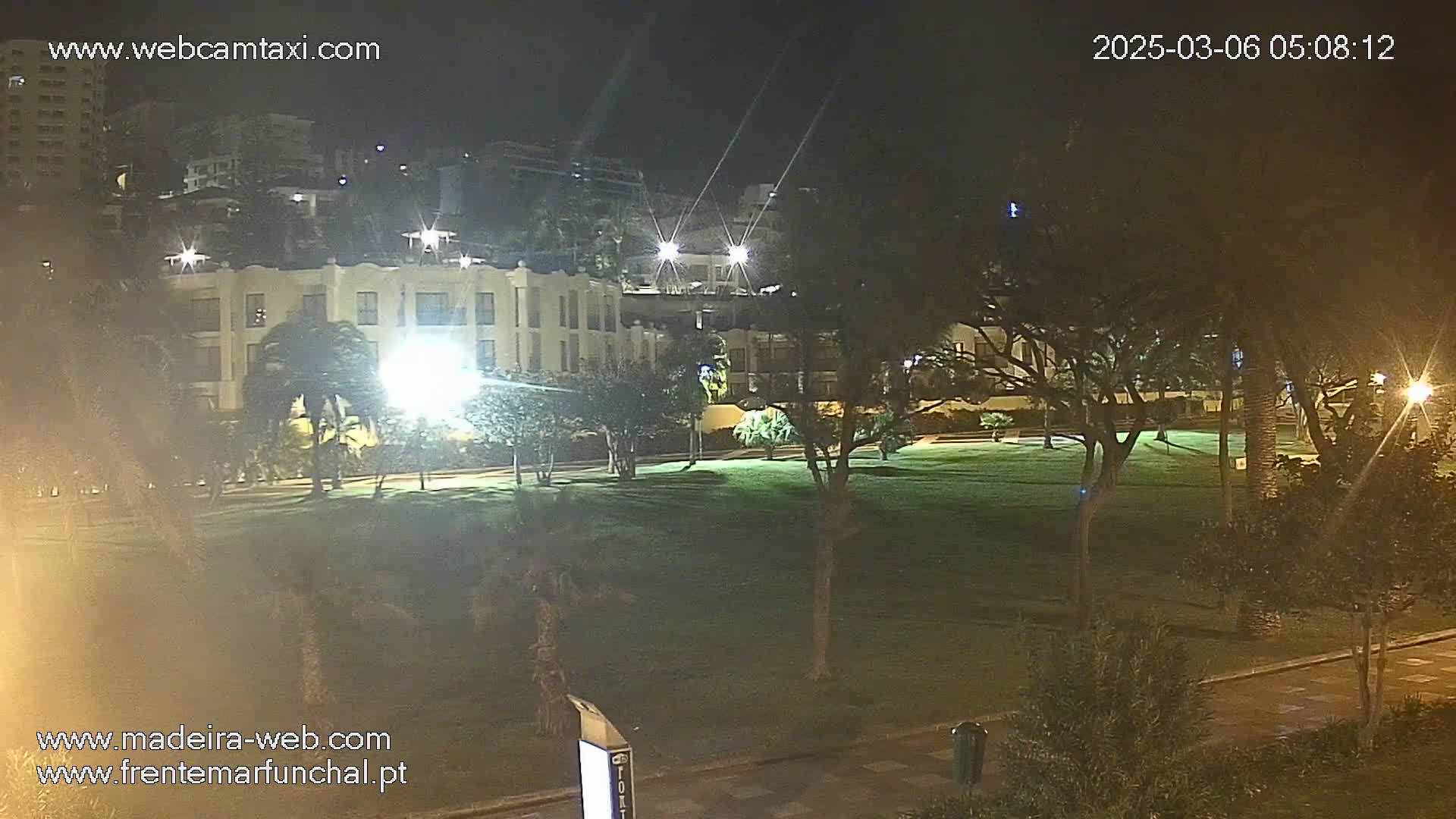A nighttime view of a grassy park illuminated by artificial lights, with buildings and palm trees in the background under a clear, dark sky.
