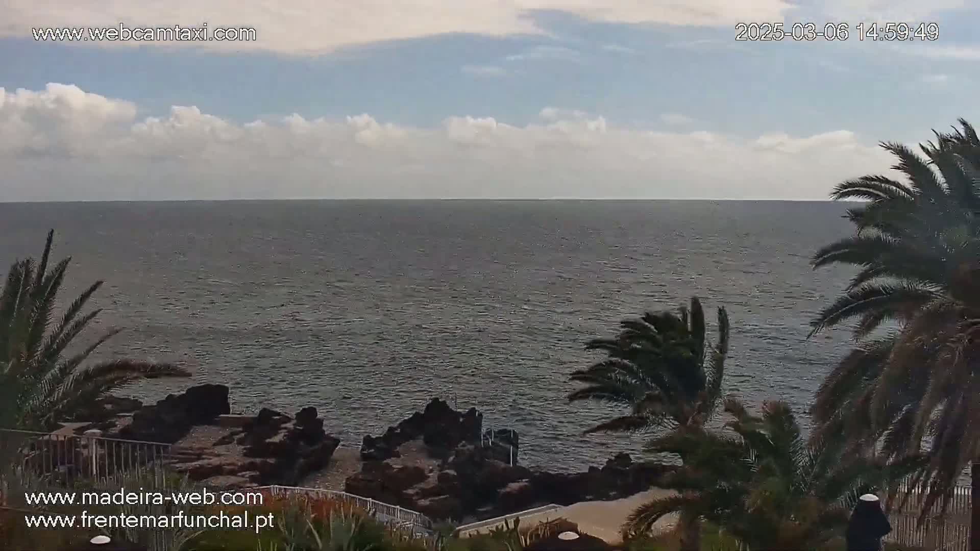 A partly cloudy sky overlooks a calm ocean meeting dark rocky shoreline with palm trees in the foreground.