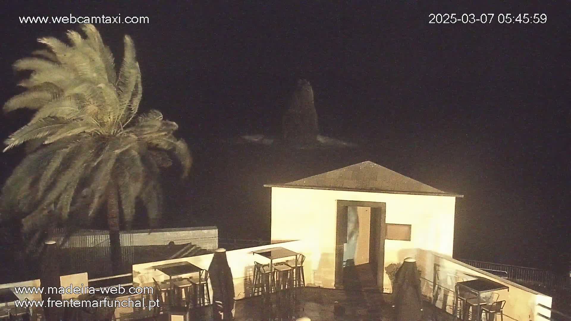A palm tree sways in the wind at night near a small building with outdoor seating, overlooking a dark body of water.