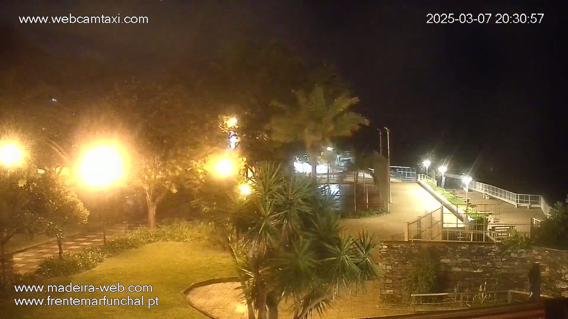 A nighttime view of a park-like area near a waterfront, illuminated by streetlights, with some vegetation and a stone wall.