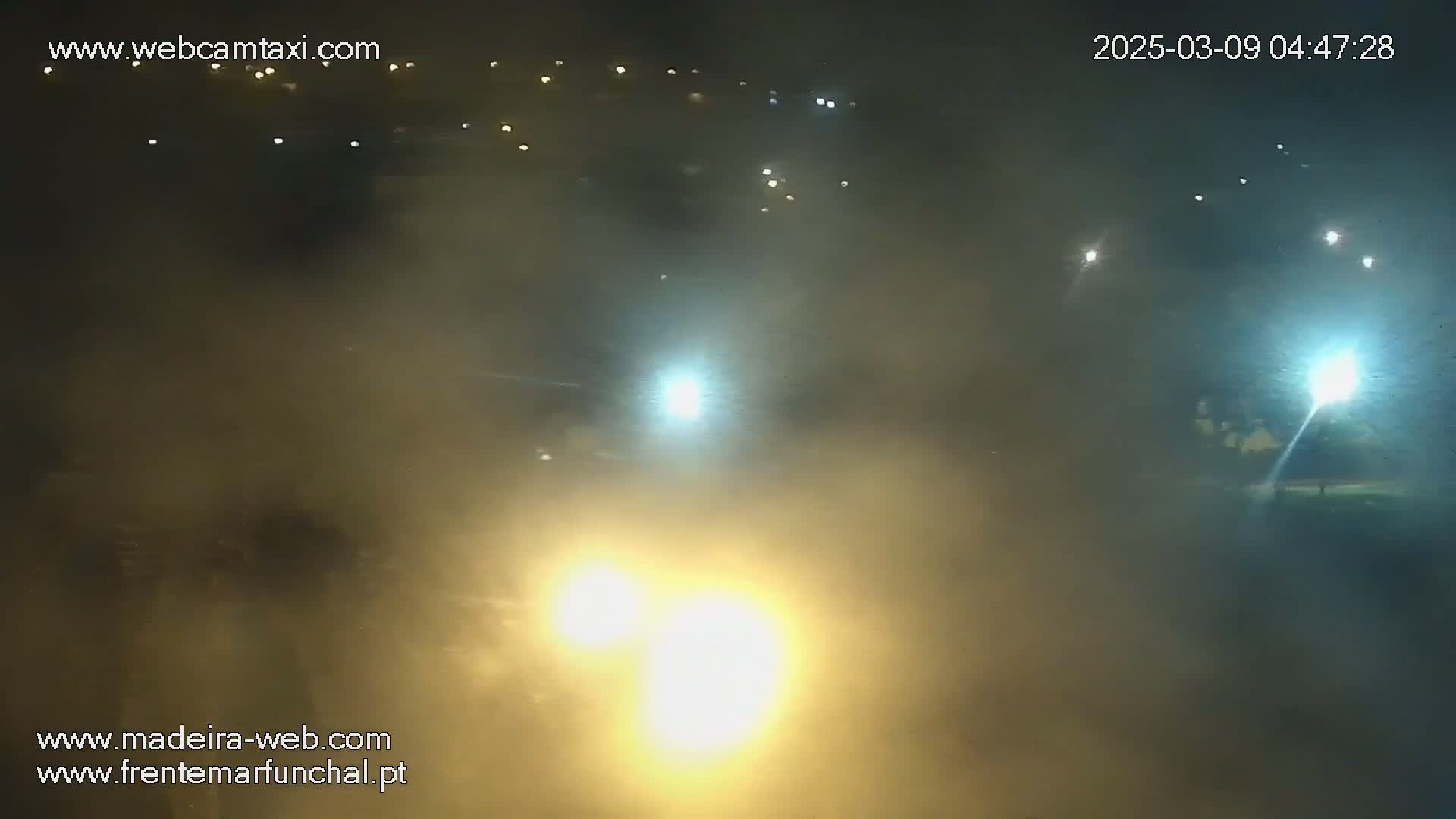 A hazy, foggy nighttime scene is illuminated by numerous distant lights and bright, close-range lights in the foreground.