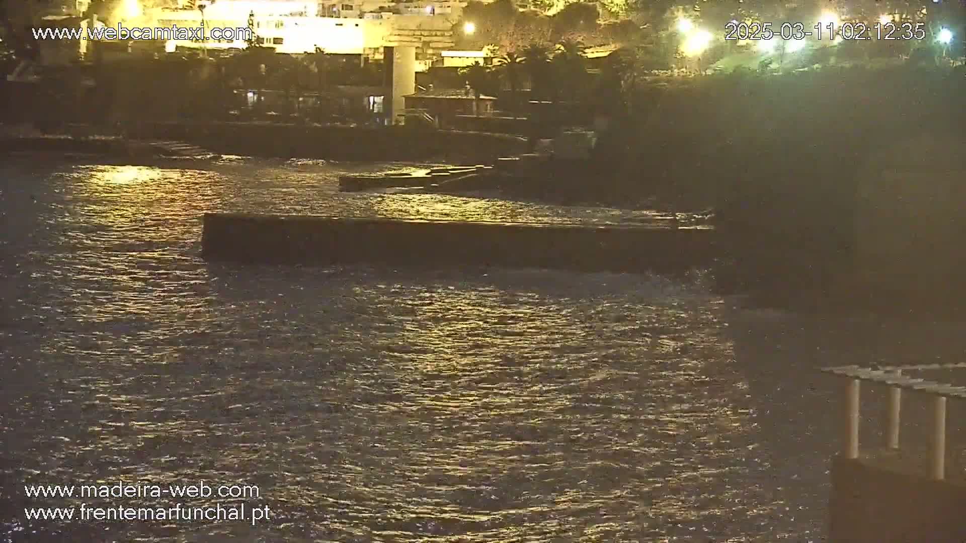 A nighttime view of slightly choppy water lapping against a low seawall near a dimly lit shoreline with buildings visible in the background.