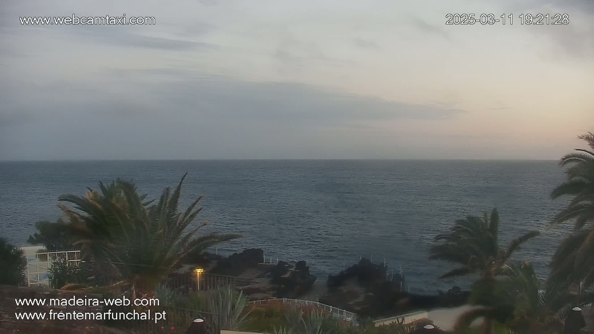 A calm ocean stretches to the horizon under a cloudy, overcast sky, viewed from a vantage point overlooking palm trees and a rocky shoreline.