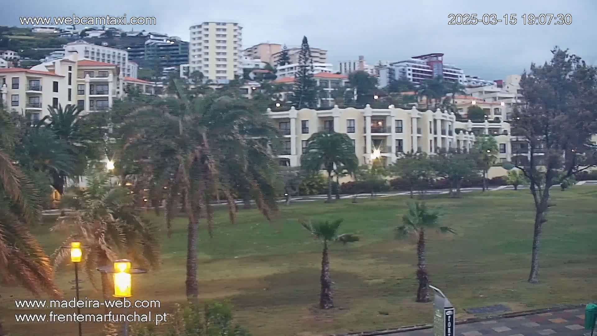 A grassy area with palm trees sits in front of several multi-story buildings under an overcast sky.