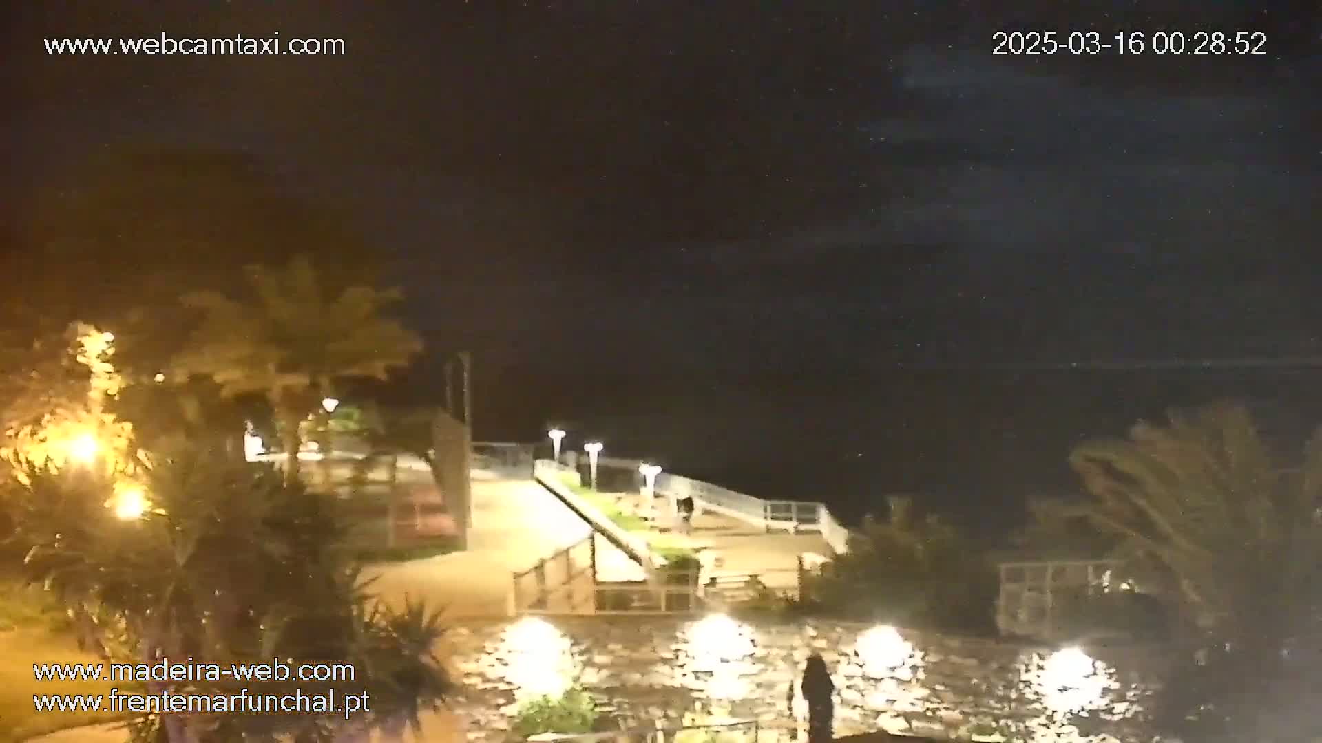 A nighttime outdoor scene shows a paved walkway lit by lamps leading down to a dark ocean, with palm trees and other vegetation along the path.