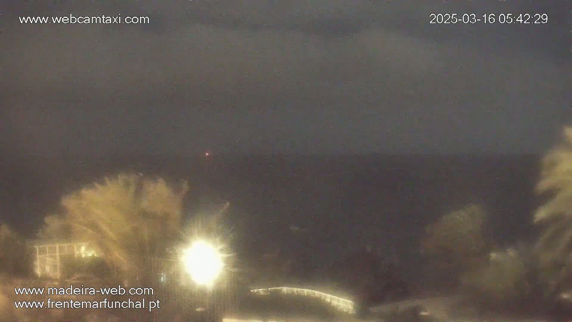 A nighttime coastal scene shows dark, overcast skies, palm trees swaying in the wind, and a bright light illuminating part of the foreground.