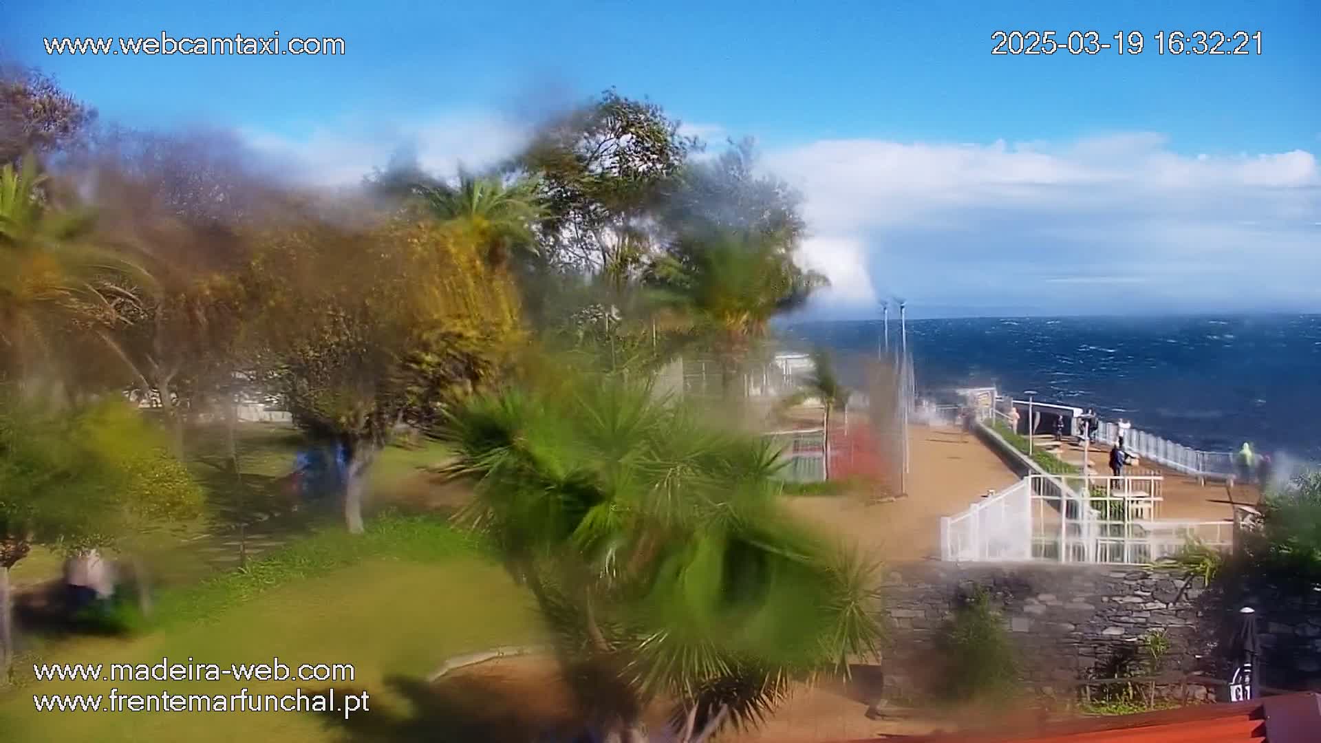 A windy, partly cloudy day is shown, with a view of a coastal park with palm trees and a walkway along a rough ocean, partially obscured by rain or moisture on a window.